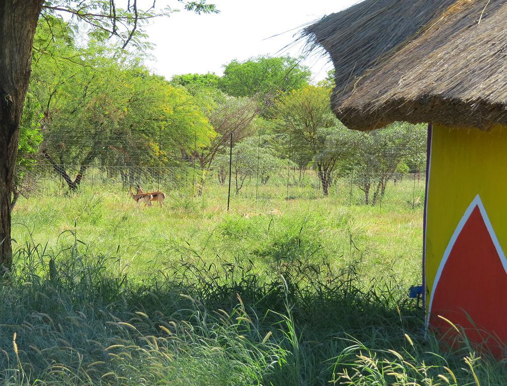 Lodge Huge Dassie ベラ・ベラ エクステリア 写真